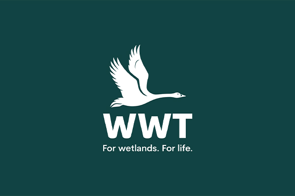 野禽与湿地基金会（WWT）启用新视觉 上海品牌策划公司